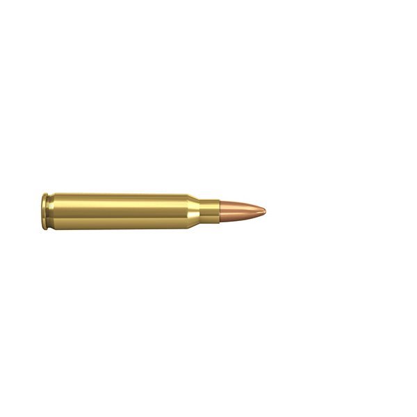 Rifle Case > Ammo - Forhåndsvisning 1