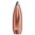 Opplev presisjon med SPEER Boat Tail 375 Caliber Soft Point kuler. Perfekt for langdistanseskyting med pålitelig ekspansjon. Få din boks i dag! 🎯