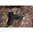 VIRIDIAN RFX44 COMPACT GREEN DOT W/PICATINNY LOW MOUNT BLK