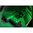 VIRIDIAN C5L GREEN LASER SIGHT W/WEAPON LIGHT FLAT DARK EARTH