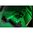 VIRIDIAN C5L CUSTOM LASER/WEAPON LIGHT FOR RUGER RXM W/SAFECHARGE BLK