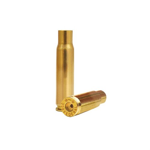 Magtech 12 Gauge Brass Cased Shotshell Ammo, 25 Ro - Shotgun Shells at   : 1032919789