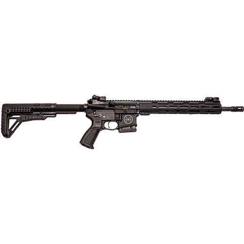 LDT AR-15 LDT15-L5F er en prisgunstig semi-automatisk rifle med 16,7